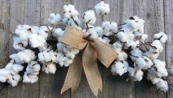 What Is Pima Cotton, Or How To Indulge in Luxury
